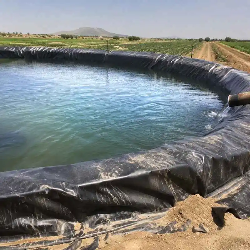 Geomembrana de alta resistencia para reservorio de agua agrícola utilizada en sistemas de riego y almacenamiento de agua para cultivos.