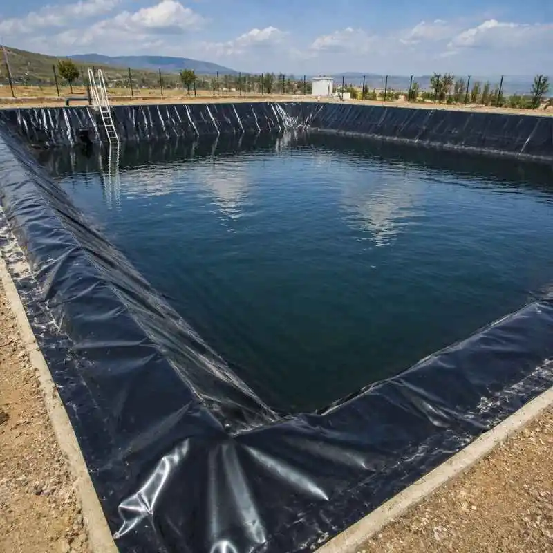 Geomembrana de alta resistencia para reservorio de agua agrícola utilizada en sistemas de riego y almacenamiento de agua para cultivos.
